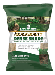 Black Beauty® Dense Shade Grass Seed