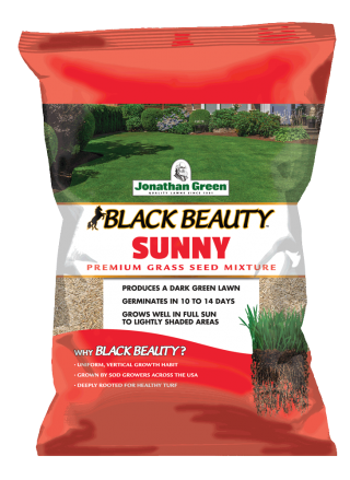Black Beauty® Sunny Grass Seed 3LB Bag