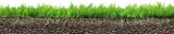 Bulk Topsoil