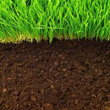 Bulk Topsoil