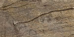 Ledgestone Cap wth Armortec®