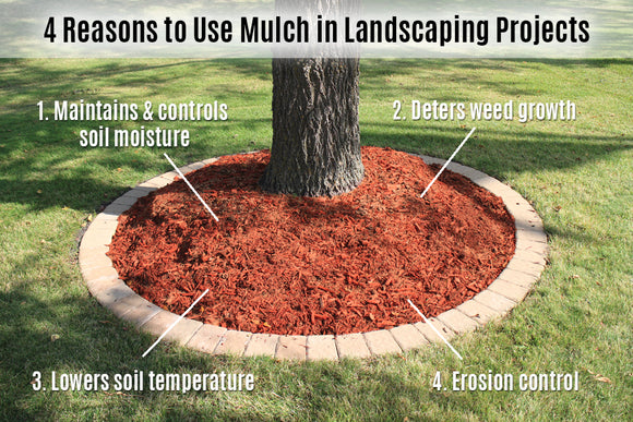 Enhance Your Garden's Health with Fanelli Landscape Supply's Mulch Selection - Discover the Benefits!