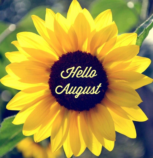 August Landscaping and Masonry Tips: Elevate Your Outdoor Space