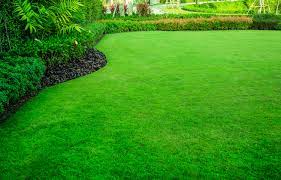 Summer Lawn Care Tips