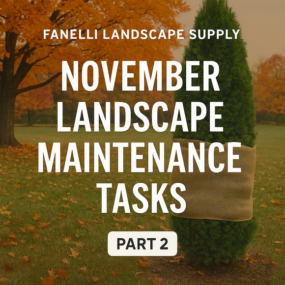 🌿 Part 2 — November Lawn & Landscape Guide: Last-Chance Planting, Winter Prep & Easy Hardscape Wins