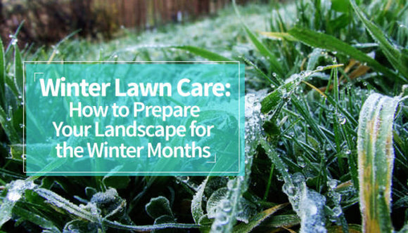 Preparing Your Landscape for Winter: Essential Tips and Tricks
