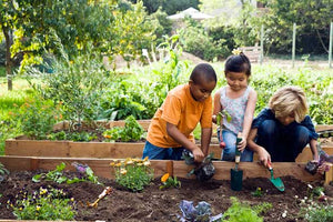 Gardening projects for children in the summer