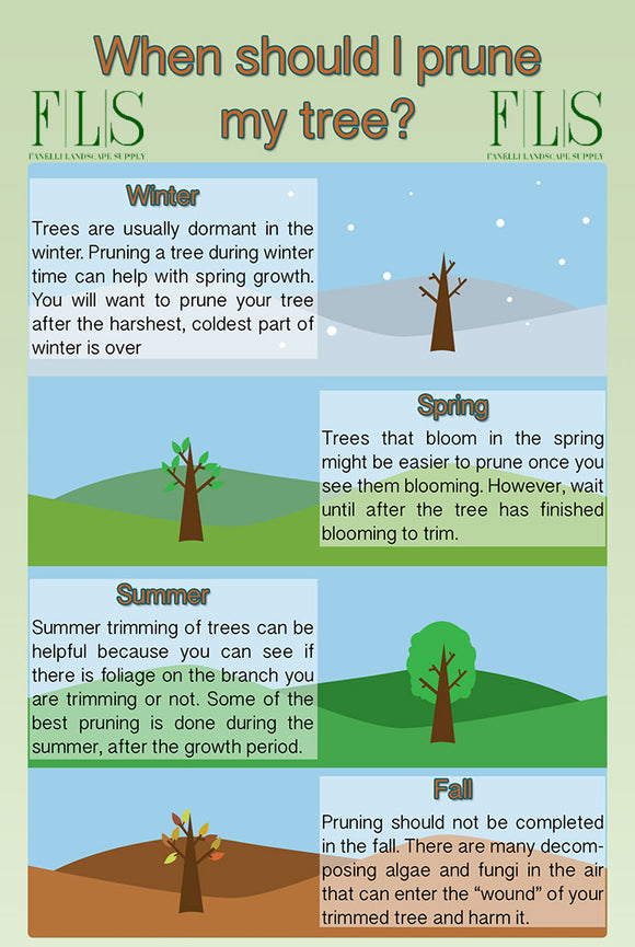 A Guide to Fall Pruning: Ensuring Healthy Growth Next Spring