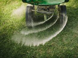Lawn Fertilizer / Insect & Disease Control / Soil Food
