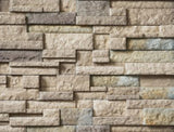 Drystack Ledgestone Panel