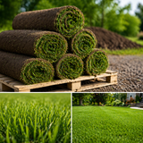 Fresh cut sod rolls stacked and ready for pickup