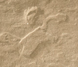 Sherwood Ledgestone LG Drive Border 6½" x 13" x 3⅛"
