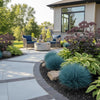 “Festuca Beyond Blue Grass featured as edging around a sunny stone pathway.”