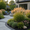 Karl Foerster Grass in a landscaped garden bed with blooming perennials and stones.