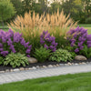 Karl Foerster Grass used as a vertical accent beside a modern patio and stone walkway.
