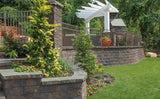 Cambridge MaytRx 6 Plus Double-Sided Split Face Wall System with ArmorTec