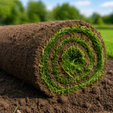 Fresh cut sod rolls stacked and ready for pickup