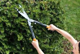 Truper Tubular Handle Classic Hedge Shears 12"