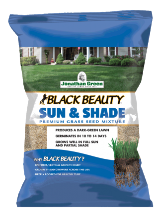 Black Beauty® Sun & Shade Grass Seed