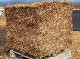 Cedar Mulch Bales 5.5 CF or 2.5CF