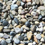 Delaware River Rock Large 2-4"