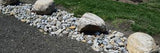 Delaware River Rock Large 2-4"