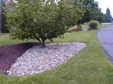 Delaware River Rock Large 2-4"