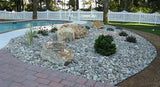 Delaware River Rock Large 2-4"