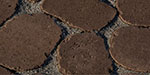 Sherwood River Rock
