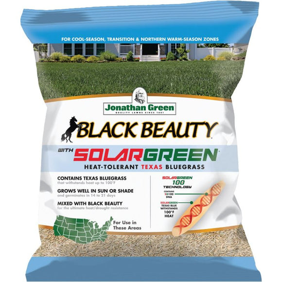 Black Beauty Solargreen Grass Seed 3LB Bag